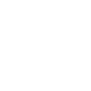 train icon